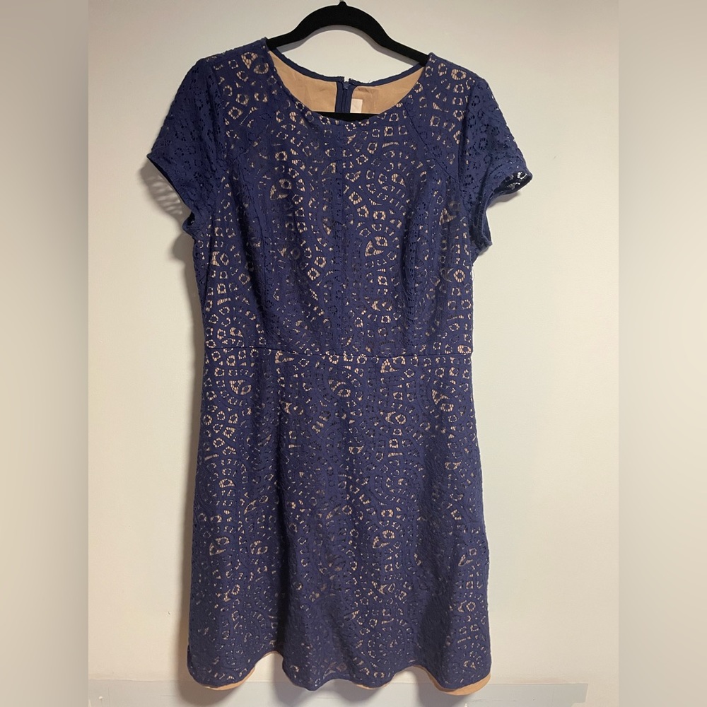 LOFT blue lace overlay dress size 12